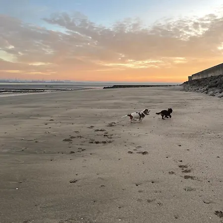 La Maison Bleue Villerville