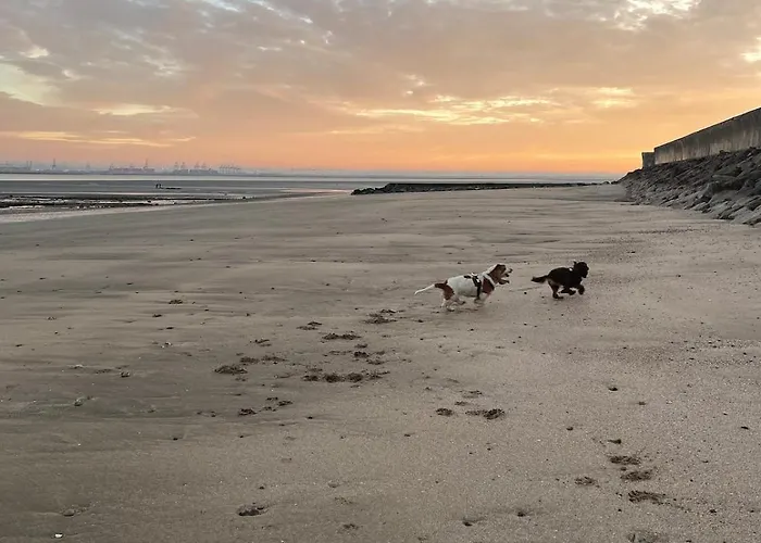 La Maison Bleue Villerville